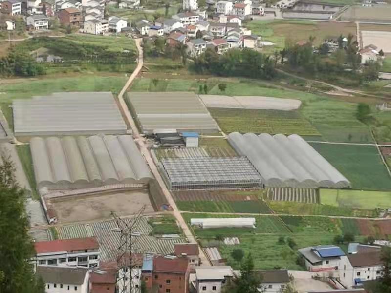 达州市达川区大雁蔬菜专业合作社(图1) 达州市达川区大雁蔬菜专业合作社(图1)