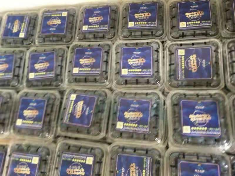 达川区金润园种植专业合作社(图5) 达川区金润园种植专业合作社(图5)