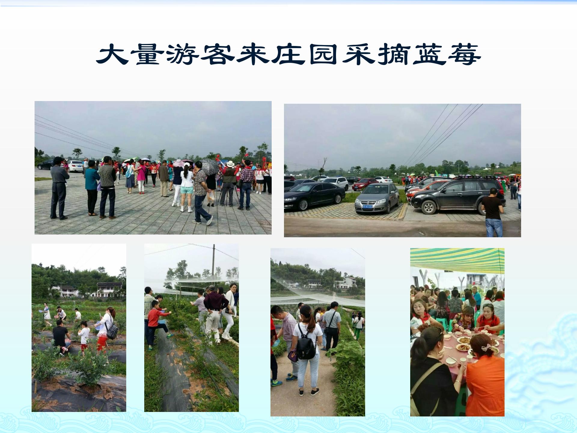 达川区金润园种植专业合作社(图8) 达川区金润园种植专业合作社(图8)