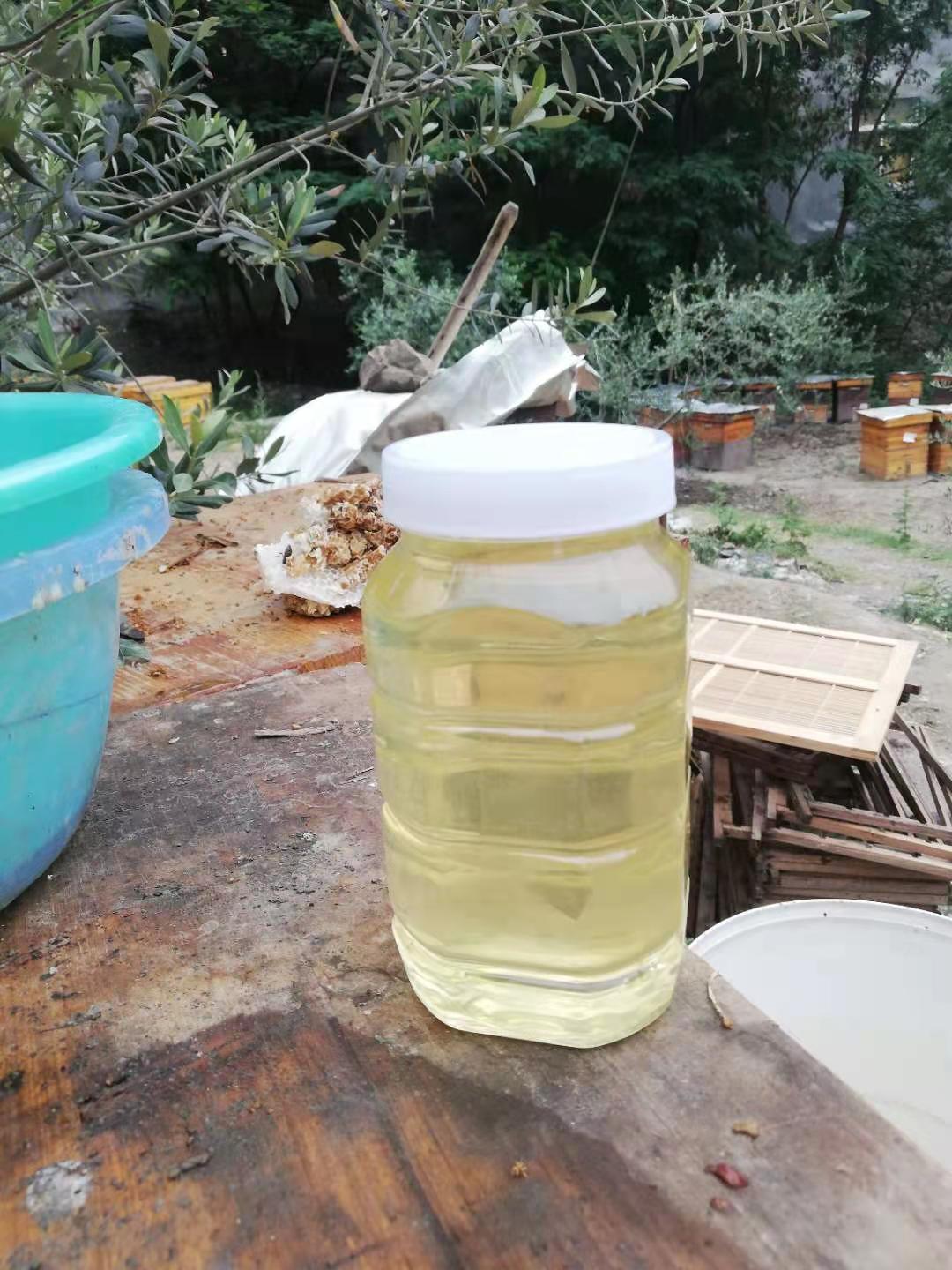 大自然的馈赠——巴人专合社蜂蜜(图7) 大自然的馈赠——巴人专合社蜂蜜(图7)