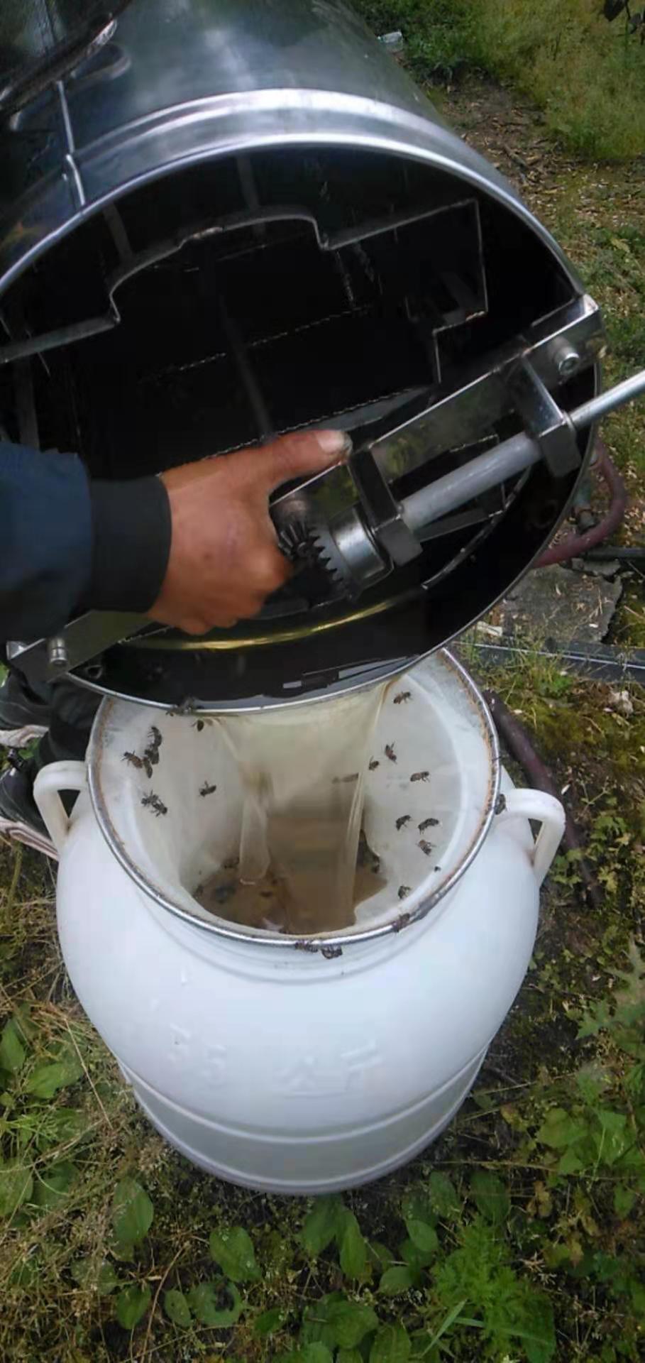 大自然的馈赠——巴人专合社蜂蜜(图8) 大自然的馈赠——巴人专合社蜂蜜(图8)