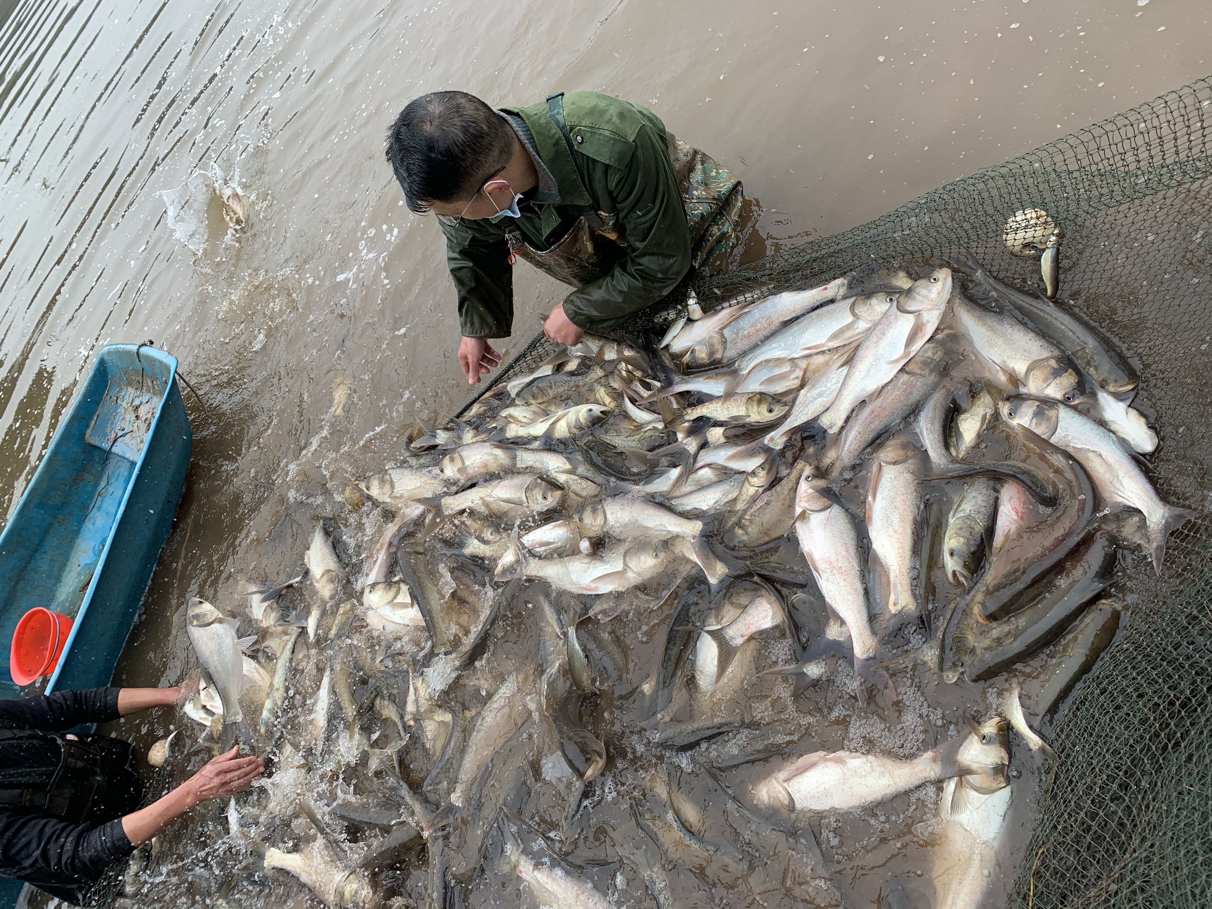 达州市智诚农业科技发展有限公司(图5) 达州市智诚农业科技发展有限公司(图5)