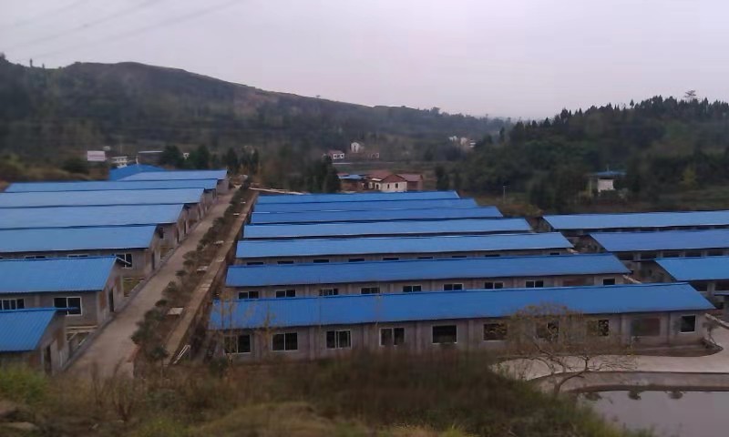 市级龙头企业——达州市银宏畜牧有限公司(图3) 市级龙头企业——达州市银宏畜牧有限公司(图3)