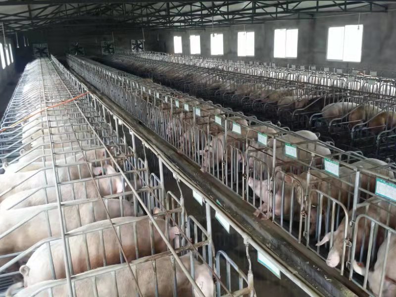 市级龙头企业——达州市银宏畜牧有限公司(图4) 市级龙头企业——达州市银宏畜牧有限公司(图4)