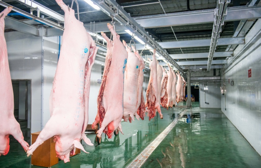 市级龙头企业——达州国中长江食品有限公司(图6) 市级龙头企业——达州国中长江食品有限公司(图6)