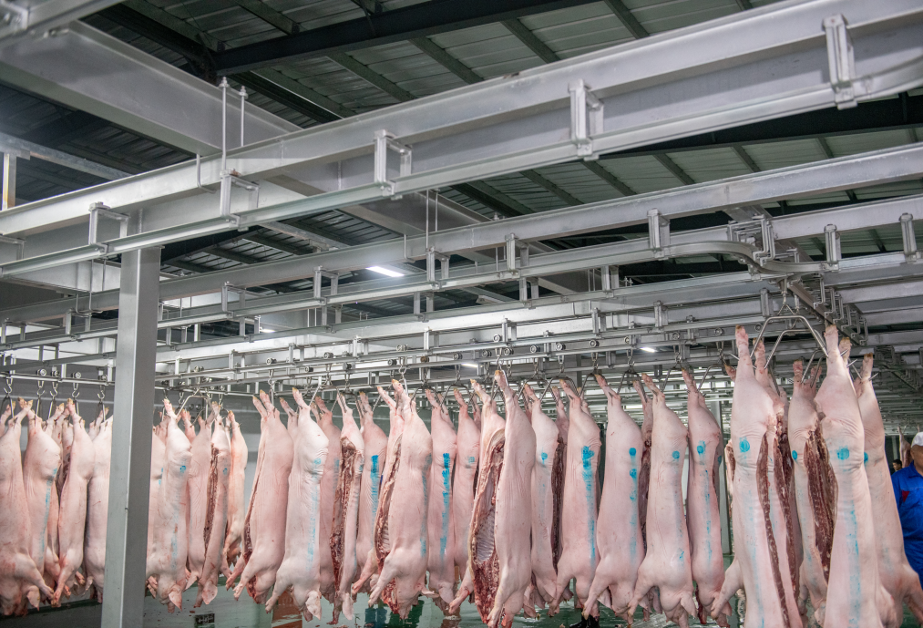 市级龙头企业——达州国中长江食品有限公司(图8) 市级龙头企业——达州国中长江食品有限公司(图8)