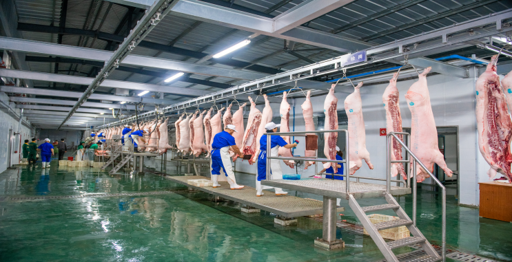 市级龙头企业——达州国中长江食品有限公司(图9) 市级龙头企业——达州国中长江食品有限公司(图9)