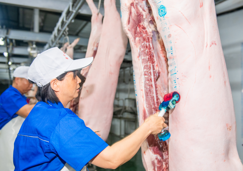 市级龙头企业——达州国中长江食品有限公司(图10) 市级龙头企业——达州国中长江食品有限公司(图10)