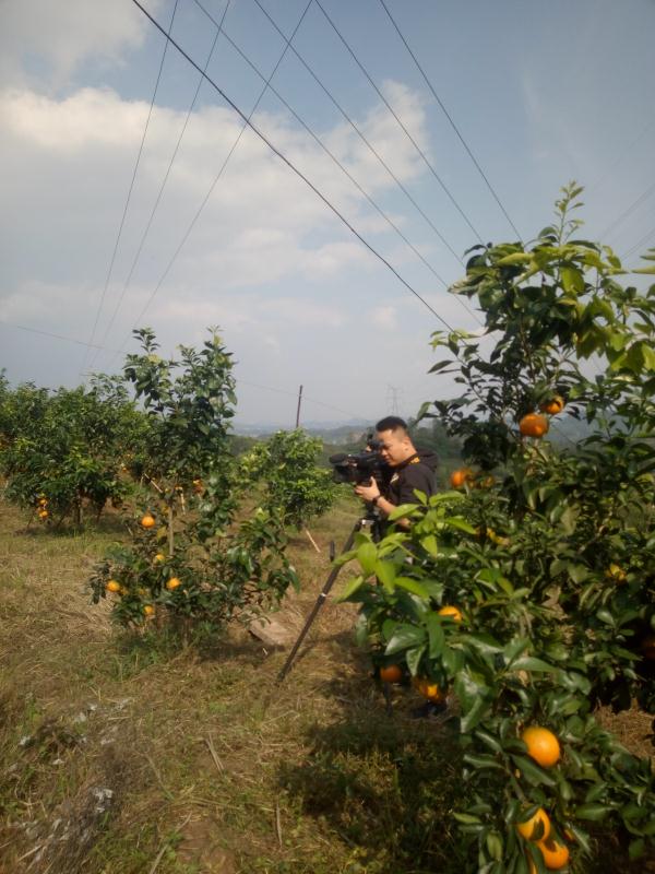 富峰家庭农场(图2) 富峰家庭农场(图2)