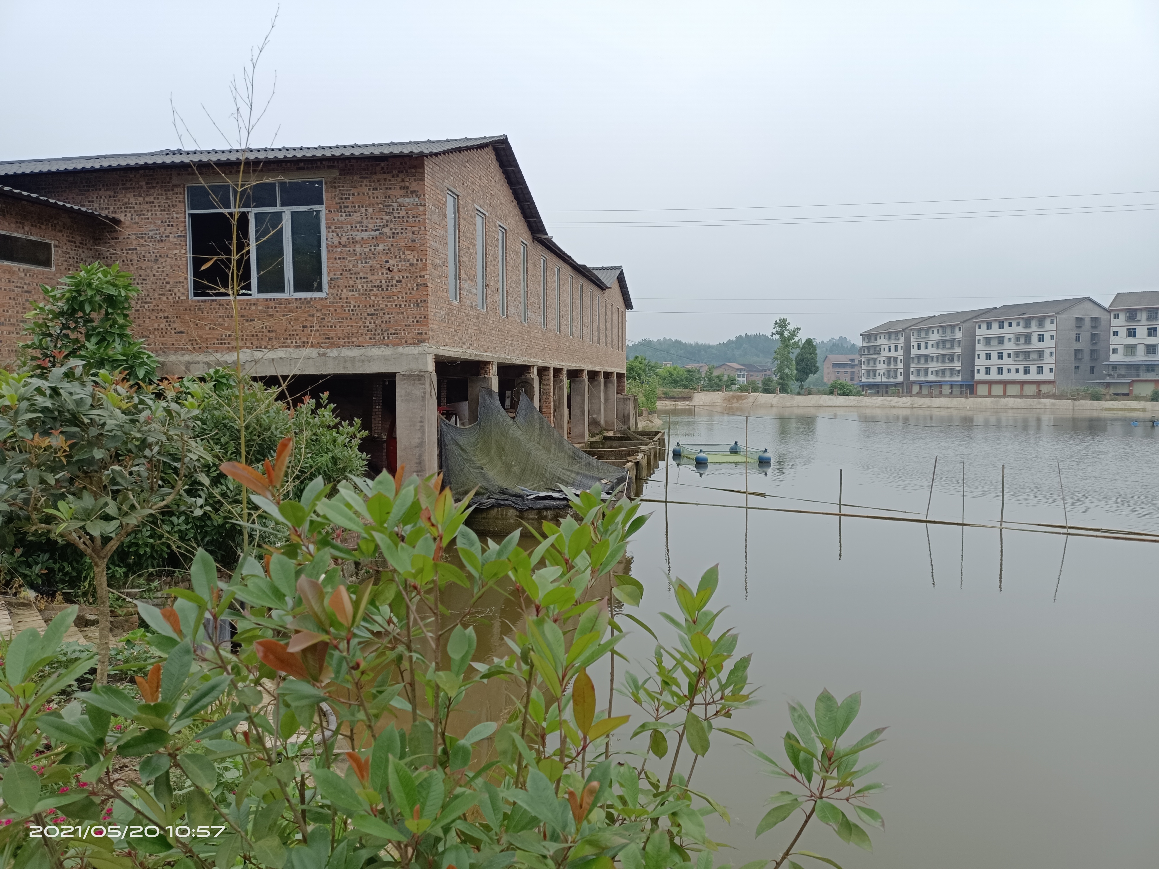 达州市达川区智德水产养殖专业合作社(图4) 达州市达川区智德水产养殖专业合作社(图4)
