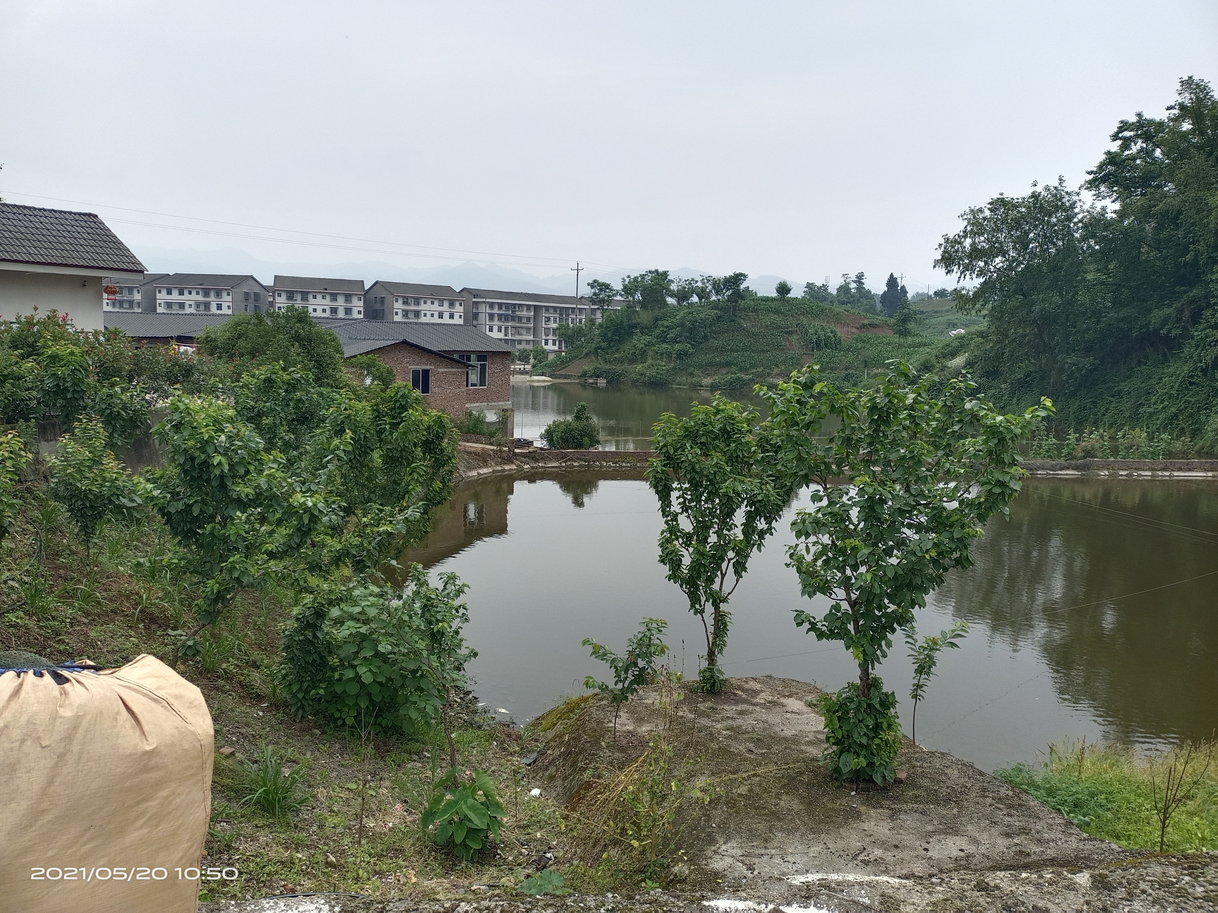 达州市达川区智德水产养殖专业合作社(图2) 达州市达川区智德水产养殖专业合作社(图2)