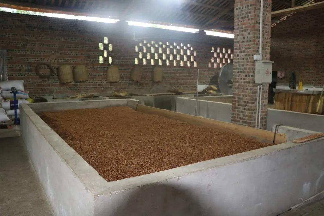 达州市第六批非遗 | 万家贤义高粱白酒酿制工艺(图6) 达州市第六批非遗 | 万家贤义高粱白酒酿制工艺(图6)