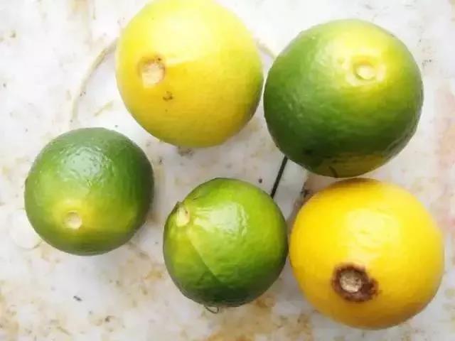 2-210F609204NF.jpg 2-210F609204NF.jpg