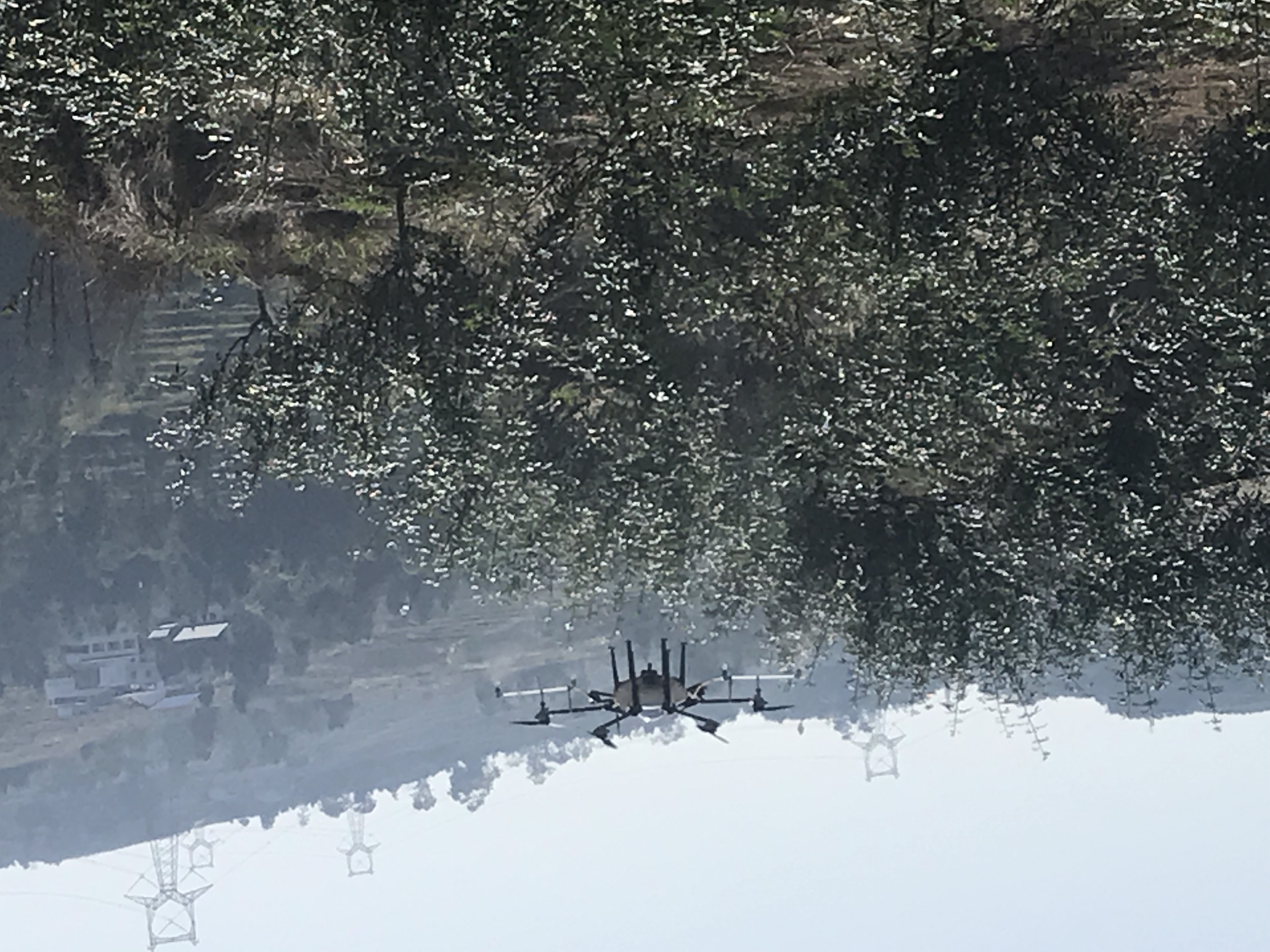 达川区独鹰家庭农场