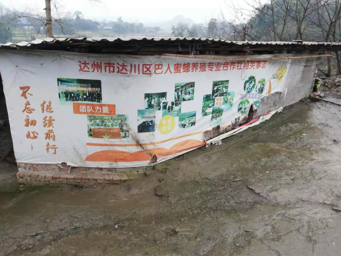 达州市达川区巴人蜜蜂养殖专业合作社