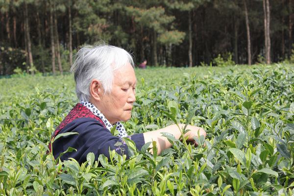 省级龙头企业——达州市会农实业有限责任公司