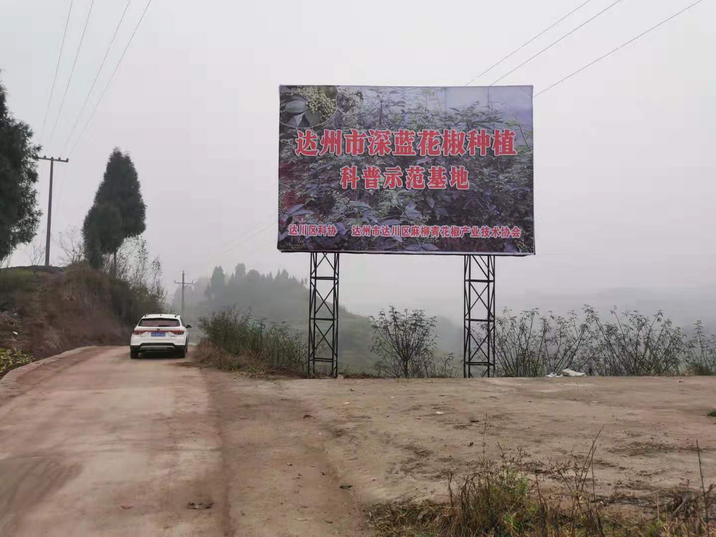 市级龙头企业——四川辉利农业开发有限公司