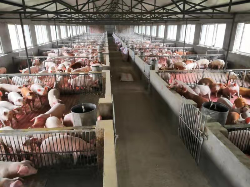 市级龙头企业——达州市银宏畜牧有限公司