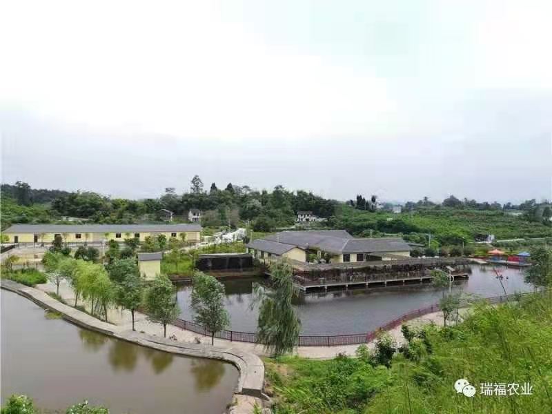 市级龙头企业——达州市瑞福农业开发有限公司