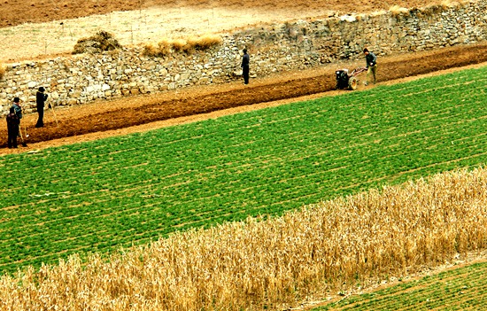 热热热！夏季大棚“降温”，送您7个诀窍！