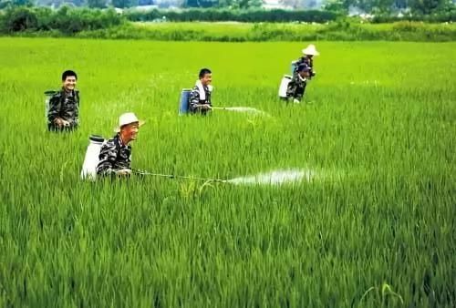 这些肥料都是假的！大家对照下，看看自己买的肥料有没有问题