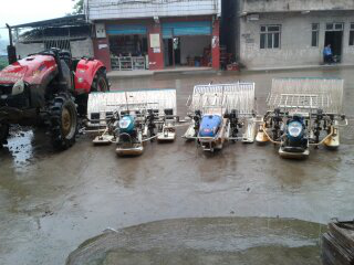 达川区光平家庭农场(图1)