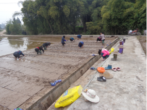 达川区光平家庭农场(图2)