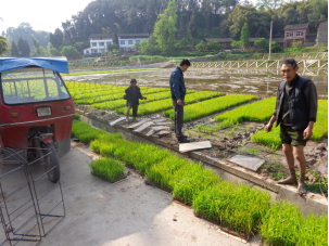 达川区光平家庭农场(图3)