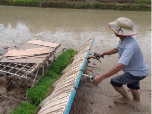达川区光平家庭农场(图6)