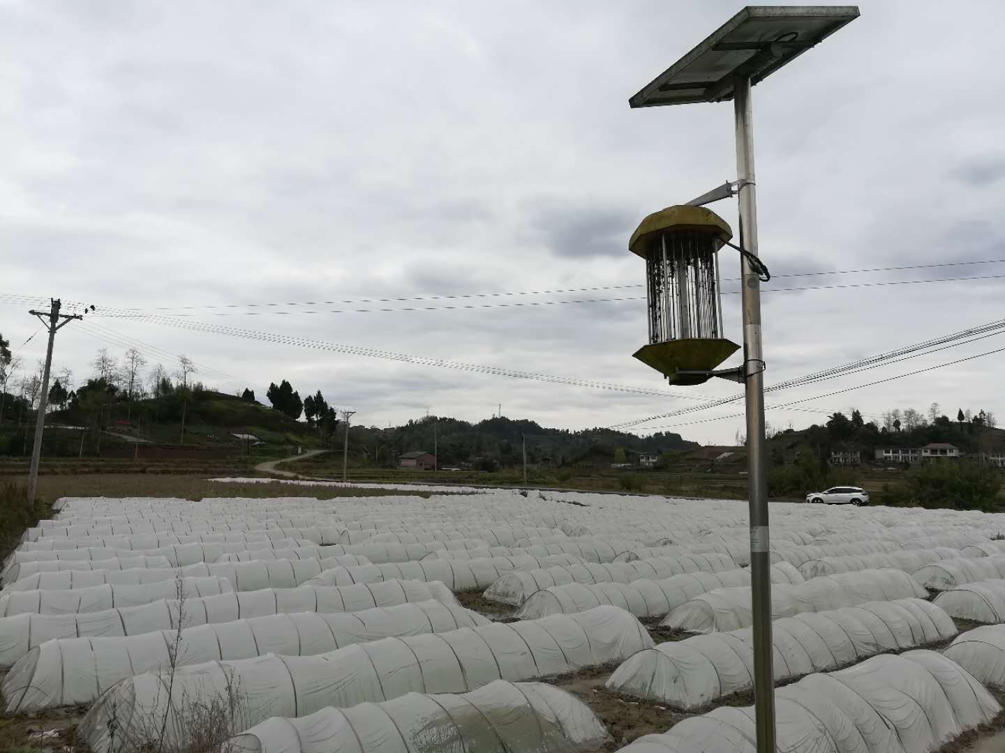 达川区鹏丰家庭农场(图5)