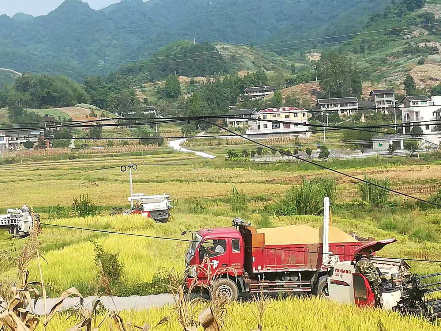 达川区鹏丰家庭农场(图6)