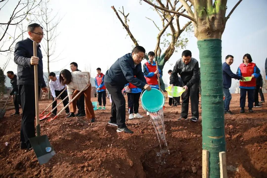 达川区开展义务植树活动(图1)