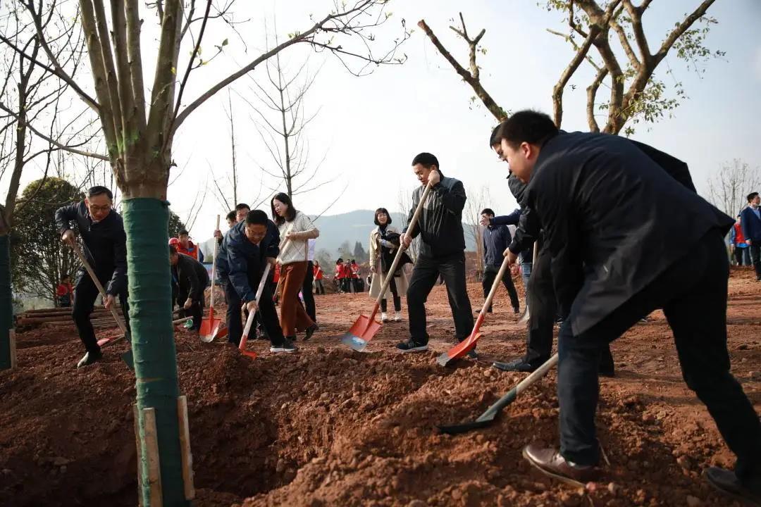 达川区开展义务植树活动(图2)