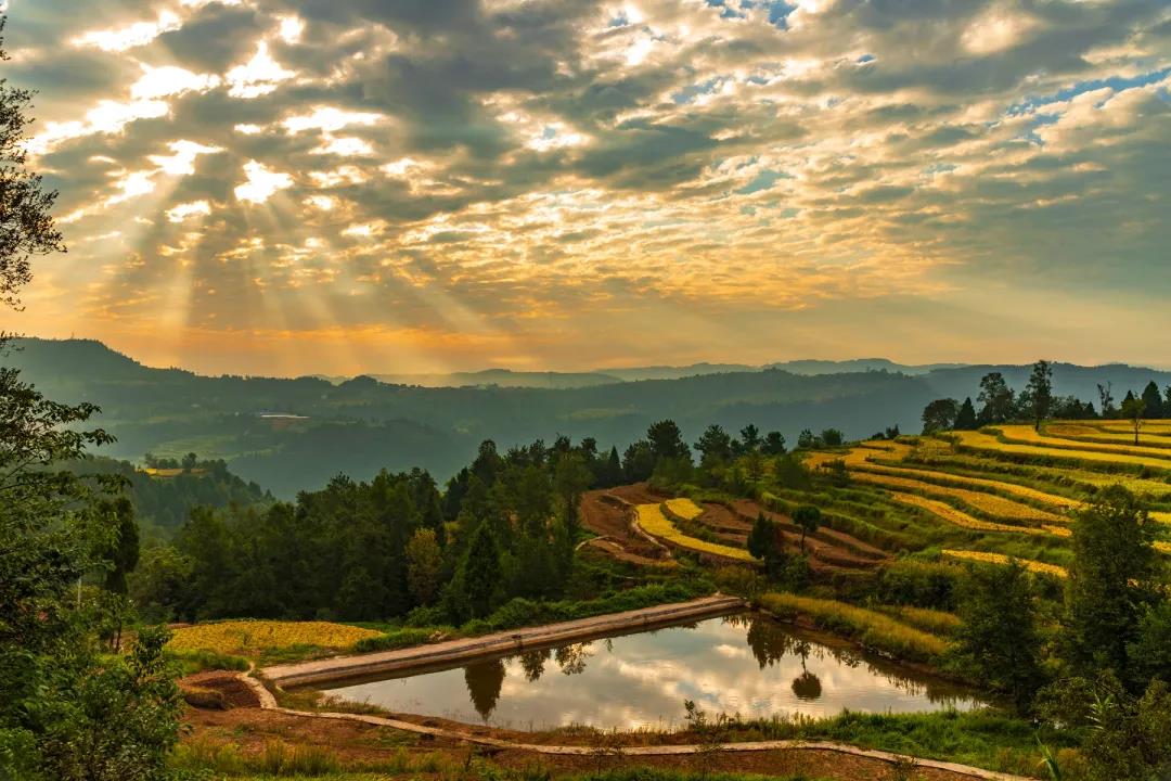 你好，小康！达州市达川区决战决胜脱贫攻坚纪实(图1)