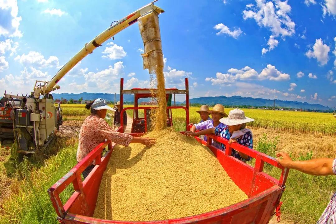 你好，小康！达州市达川区决战决胜脱贫攻坚纪实(图2)