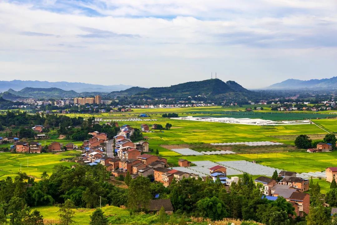 你好，小康！达州市达川区决战决胜脱贫攻坚纪实(图3)