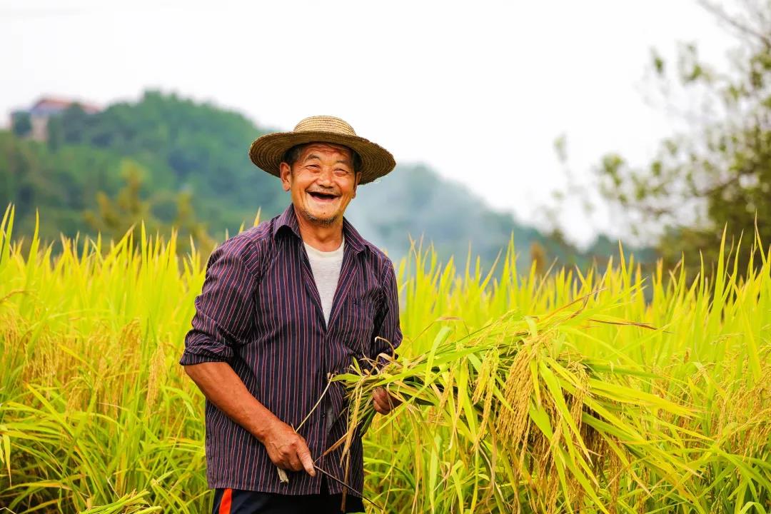 你好，小康！达州市达川区决战决胜脱贫攻坚纪实(图4)