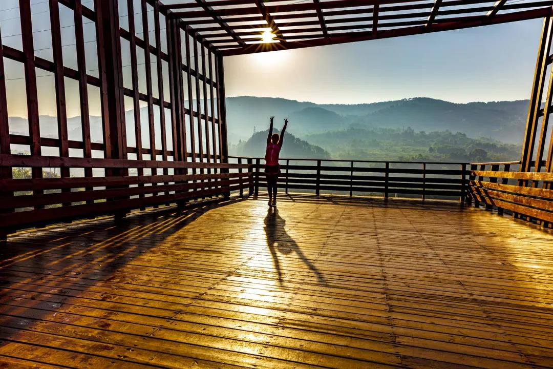 你好，小康！达州市达川区决战决胜脱贫攻坚纪实(图5)