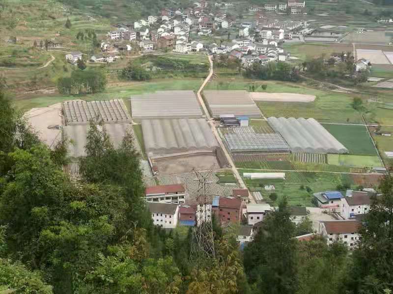 达川区通健家庭农场(图7)