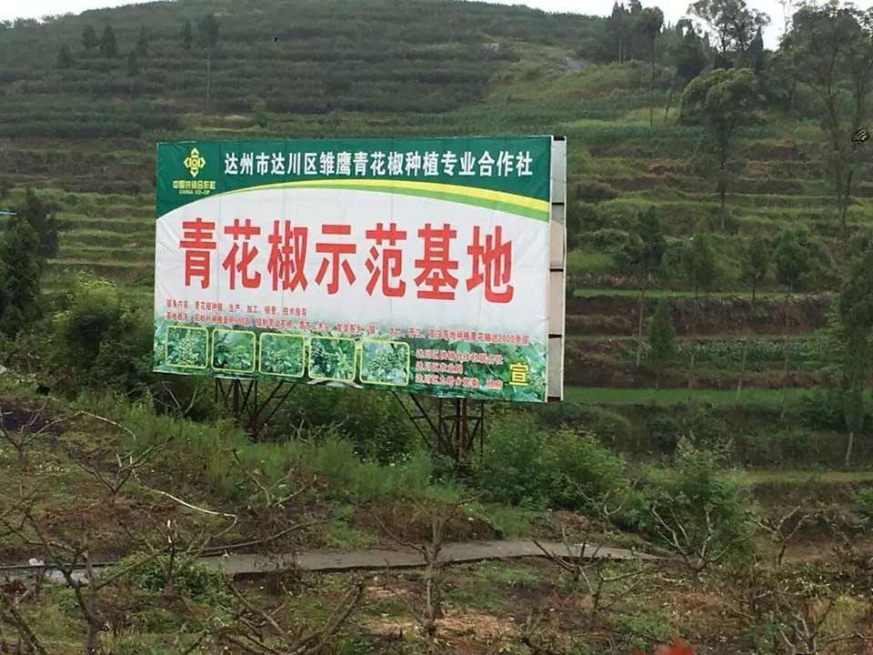 达川区独鹰家庭农场(图1)