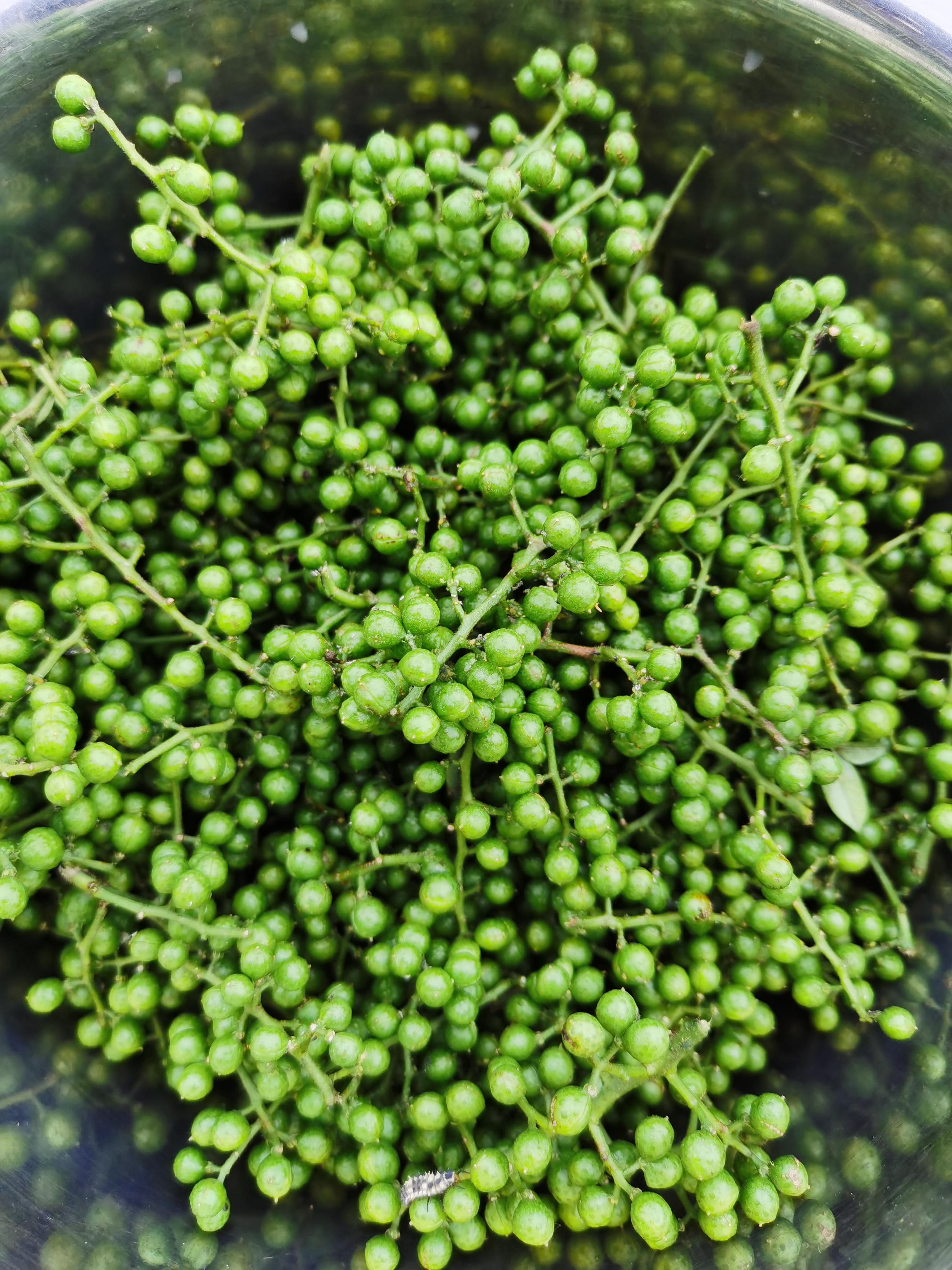 达川区独鹰家庭农场(图4)