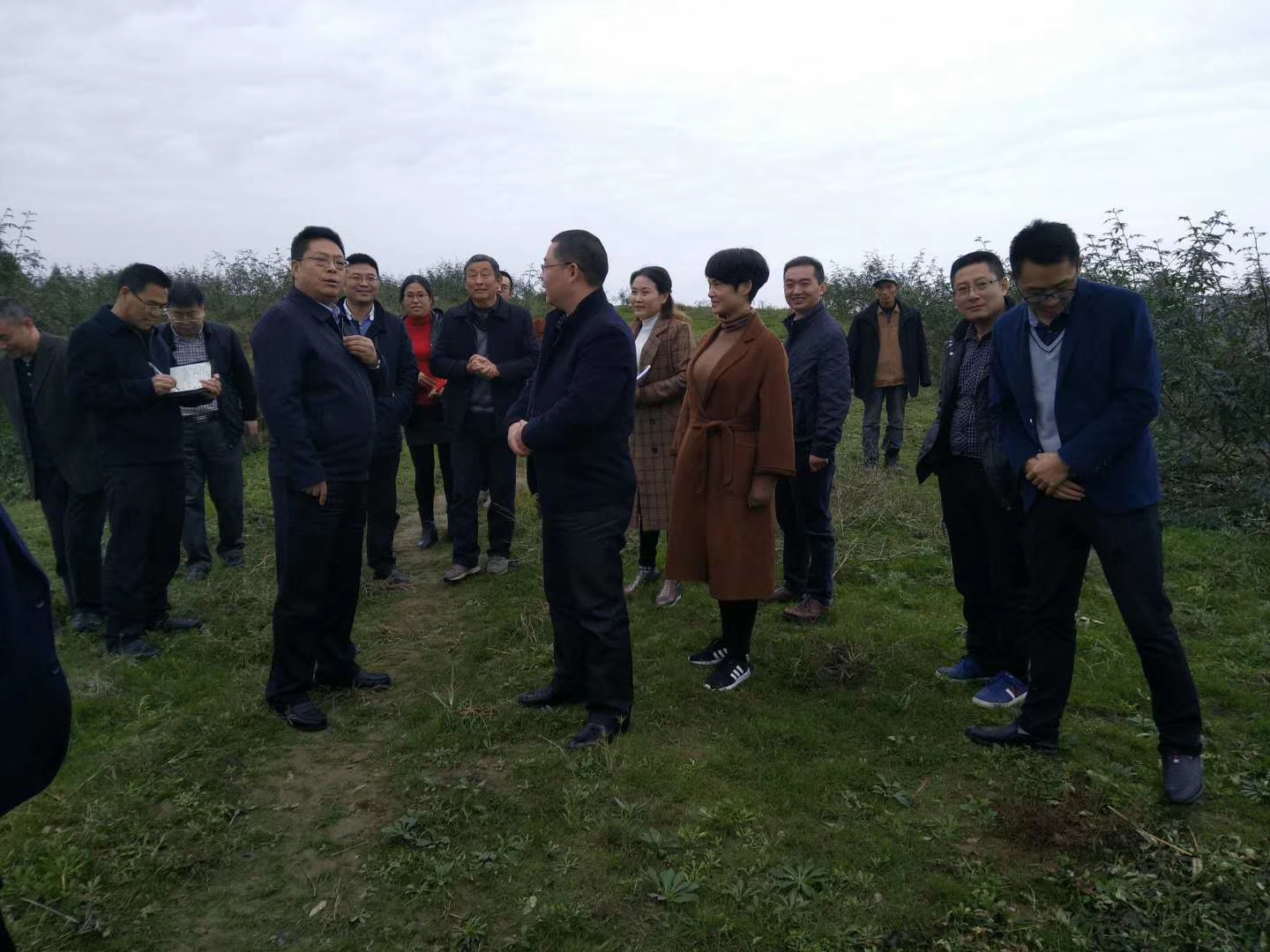 达川区独鹰家庭农场(图8)