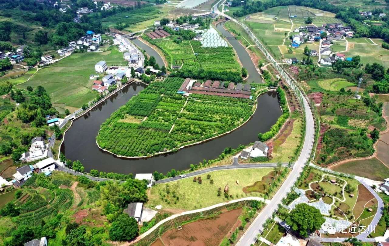 达州市达川区月亮湾种植专业合作社