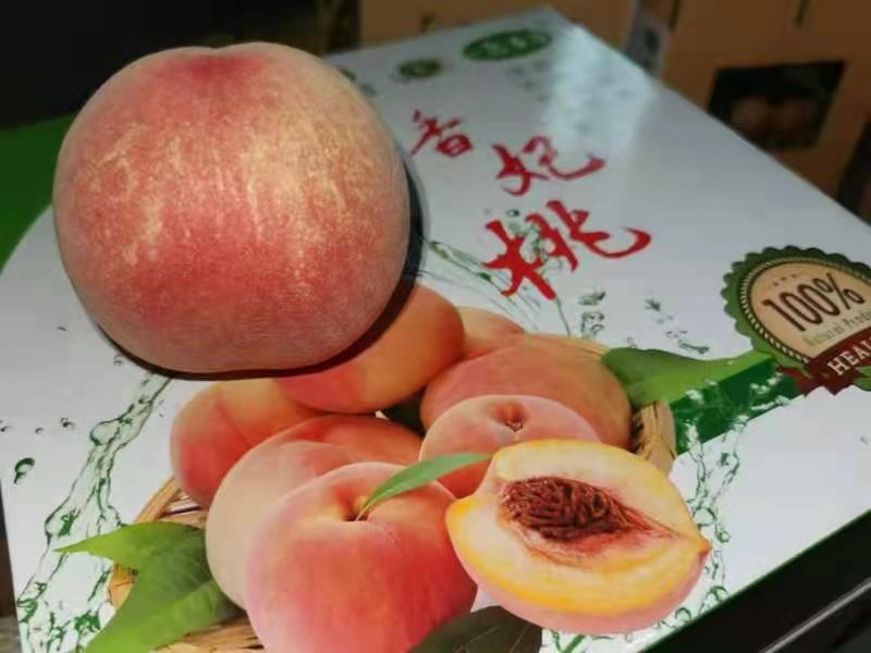 达州市达川区月亮湾种植专业合作社(图3)