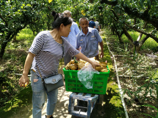 达州市达川区月亮湾种植专业合作社(图7)