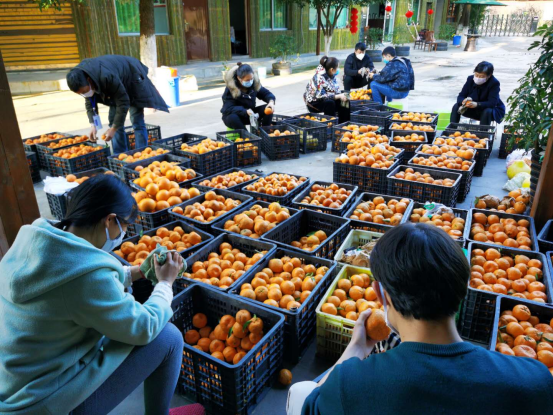 达州市达川区月亮湾种植专业合作社(图8)