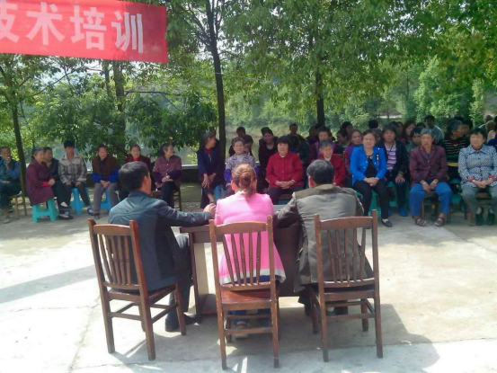 达州市达川区月亮湾种植专业合作社(图12)