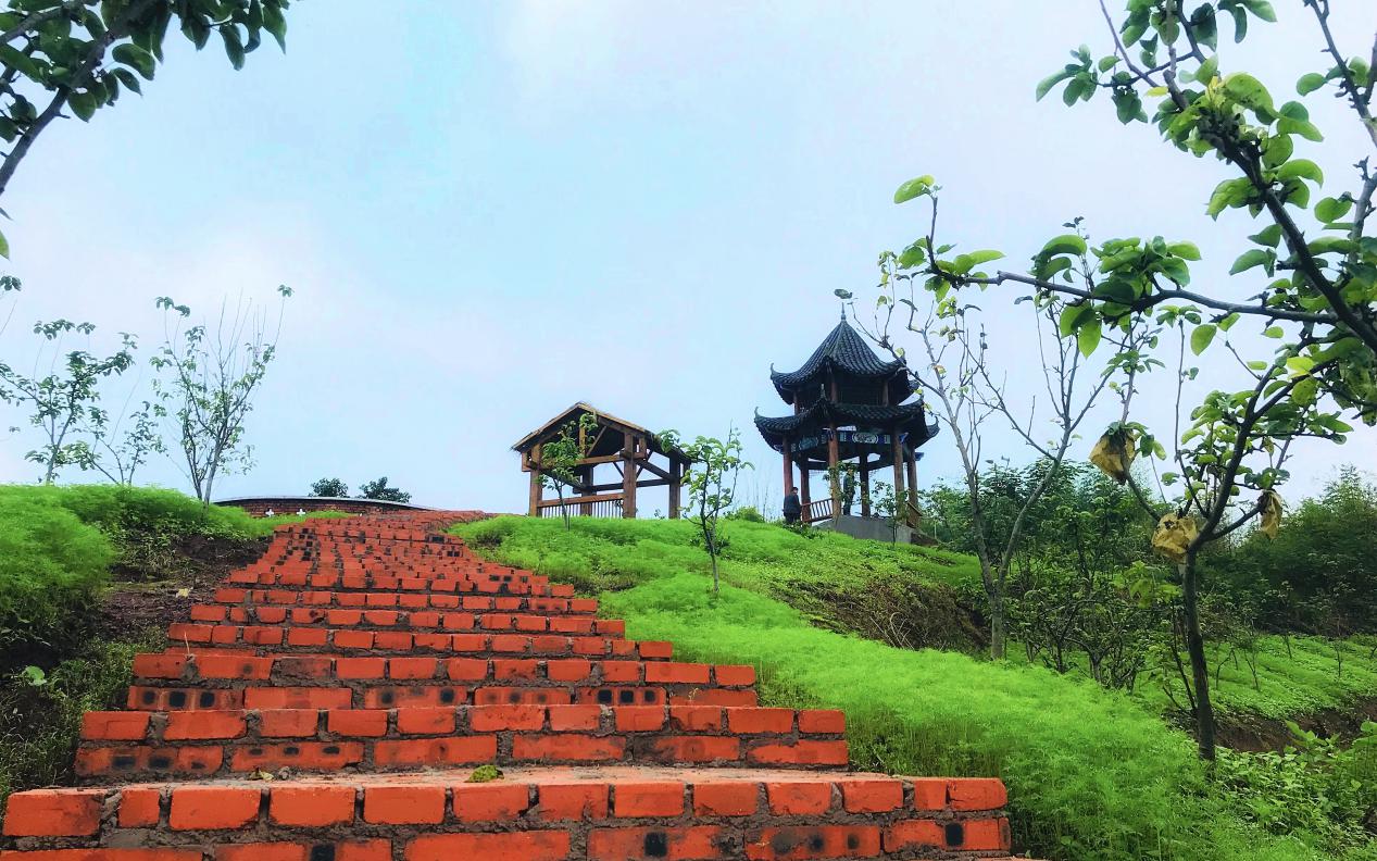 达州市惠泽种植专业合作社