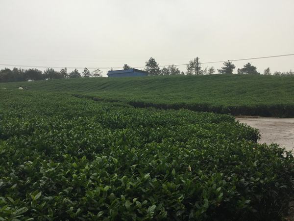 省级龙头企业——达州市会农实业有限责任公司(图1)