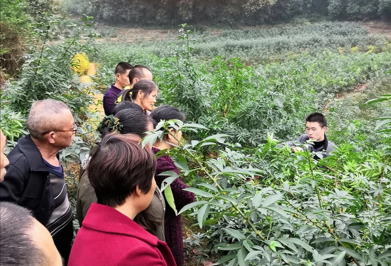 四川辉利农业开发有限公司(图3)